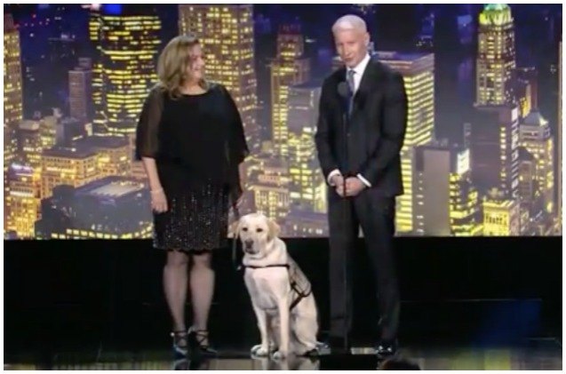 anderson cooper celebrates president bush 8217 s service dog sully