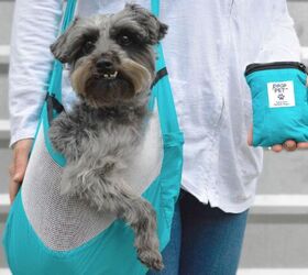 pocopet is the worlds most compact pet carrier