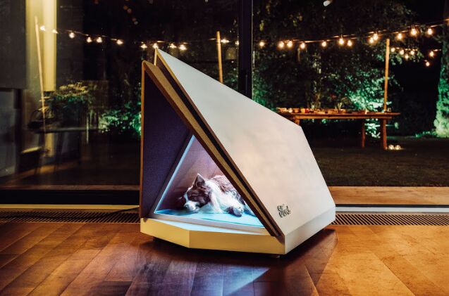 ford 8217 s noise cancelling kennel helps pooches feel safe during fireworks