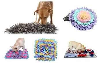 Best Snuffle Mats For Dogs
