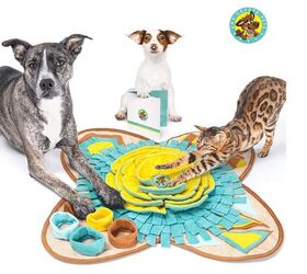 10 Best Boredom Busting Activity Mats for Dogs - Hey, Djangles
