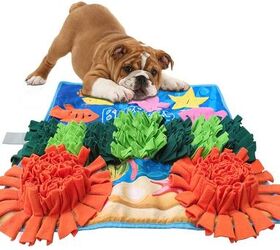 Top 10 Activity Mats For Dogs