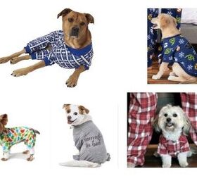 Top 10 Jammin’ Pajamas For Your Dog