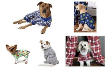 Top 10 Jammin’ Pajamas For Your Dog