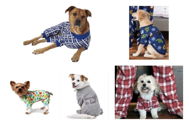 top 10 jammin pajamas for your dog