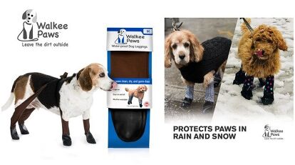Top 10 Products To Keep Your Dog's Paws Safe This Winter