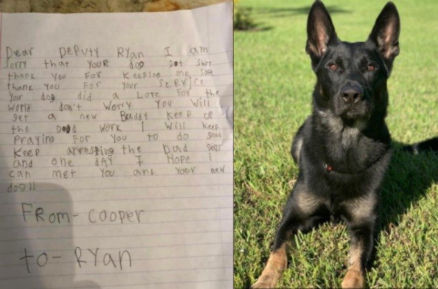 boy 8217 s touching letter shares our love for k9 member who died in line of duty