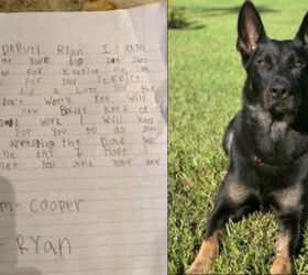 Boy’s Touching Letter Shares Our Love For K9 Member Who Died In Line