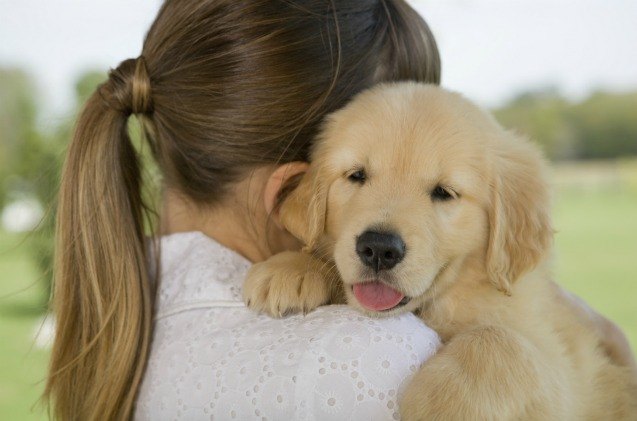 were making reservations for santa fe resort that has puppy petting