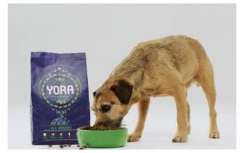 What’s For Dinner? Pet Food Company Goes Green With Grubs