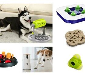 Top 10 Toys To Keep Your Dog Mentally Sharp