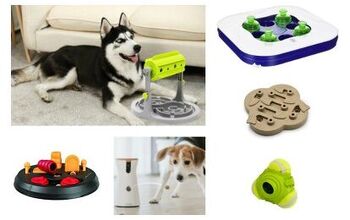 Top 10 Toys To Keep Your Dog Mentally Sharp