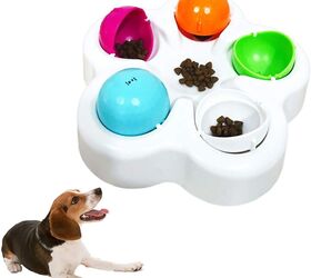 top 10 toys to keep your dog mentally sharp