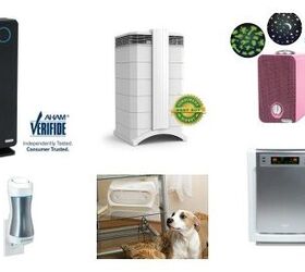 Best Air Purifiers For Pets