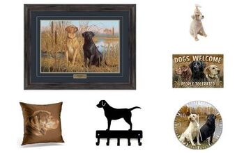 Top 10 Labrador Retriever Themed Decor You Can’t Live Without