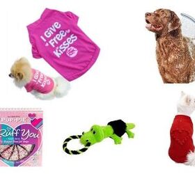 top 10 valentines day gifts for dogs