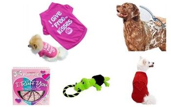 Top 10 Valentine’s Day Gifts For Dogs