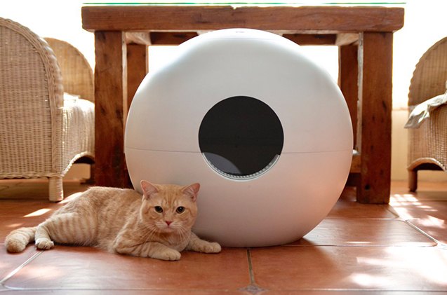 there 8217 s a new and clever litter box on kickstarter right now