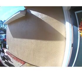 Dogs Save Their Human’s Life After She Collapses From Stroke [Video(02)