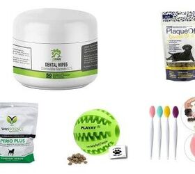 best dog dental health products
