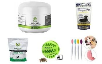 Best Dog Dental Health Products