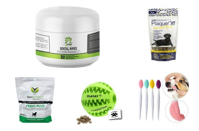 best dog dental health products