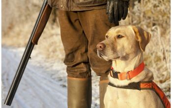 German Hunter’s Gun License Revoked After His Dog Shoots Him In The 