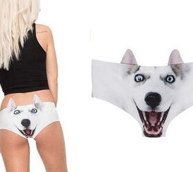 Dog and Cat-Themed Underwear Best Thing You'll See On The Internet T