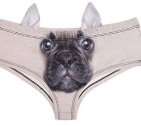 dog and cat themed underwear best thing youll see on the internet t