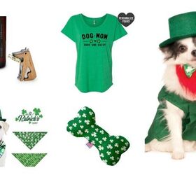 Top 17 St. Patrick’s Day Gifts For Dogs