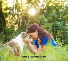 photographers joy sessions offer lasting memories of furry family m