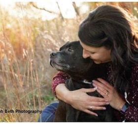 photographers joy sessions offer lasting memories of furry family m