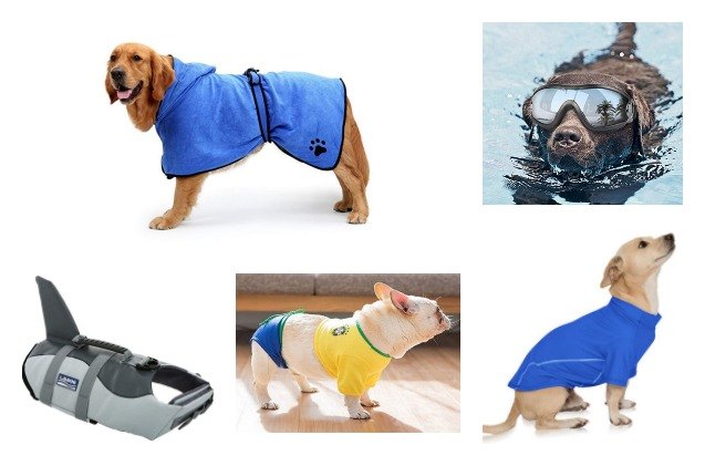 best swim gear for your dog