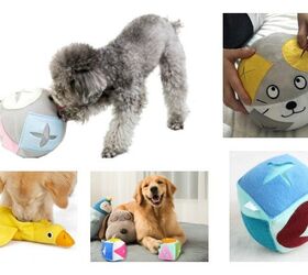 https://cdn-fastly.petguide.com/media/2022/02/28/8282488/best-snuffle-balls-for-dogs.jpg?size=1200x628