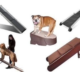 Best Ramps for Dogs