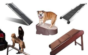 Best Ramps for Dogs