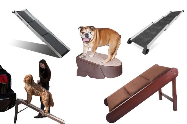 best ramps for dogs