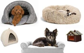 Best Beds for Small Dogs