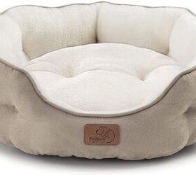 Best Beds for Small Dogs PetGuide