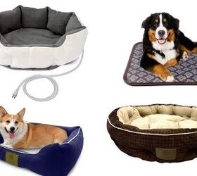 Best Heated Beds for Dogs