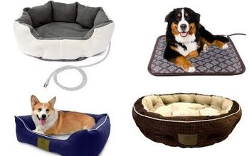 Best Heated Beds for Dogs
