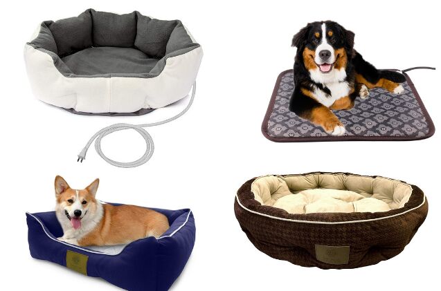 best heated beds for dogs