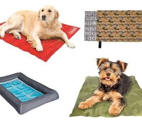 Best Cooling Pads for Dogs