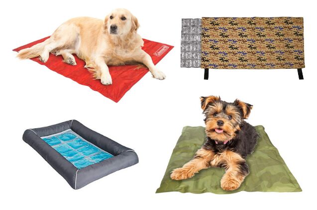 best cooling pads for dogs