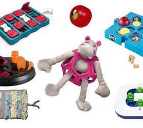 Best Puzzle Toys for Dogs