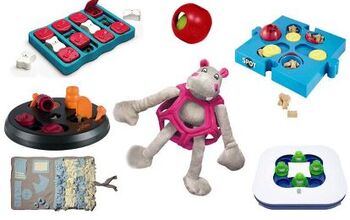 Best Puzzle Toys for Dogs