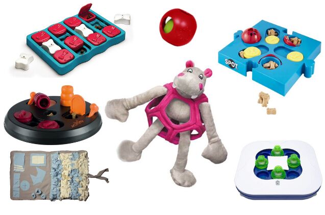 best puzzle toys for dogs