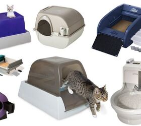 best self cleaning kitty litter boxes