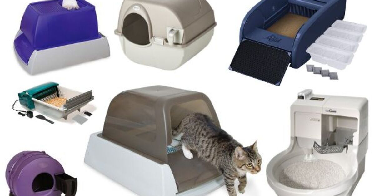 Best Self-Cleaning Kitty Litter Boxes | PetGuide best cat litter for self cleaning box