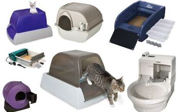 Best Self-Cleaning Kitty Litter Boxes